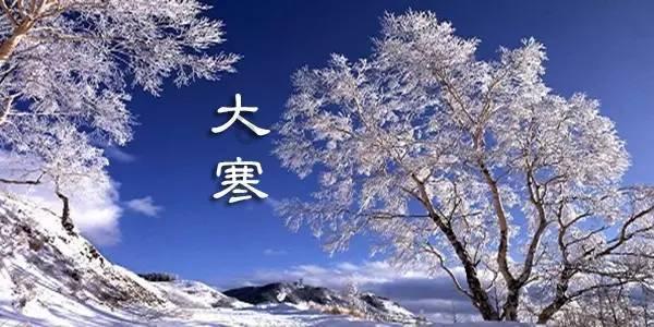 救出被困的老鼠