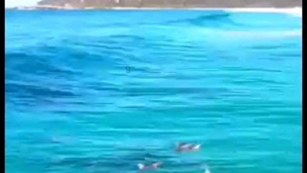 小猫钓鱼开船版最新版下载