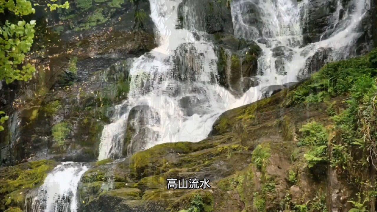 热血无赖