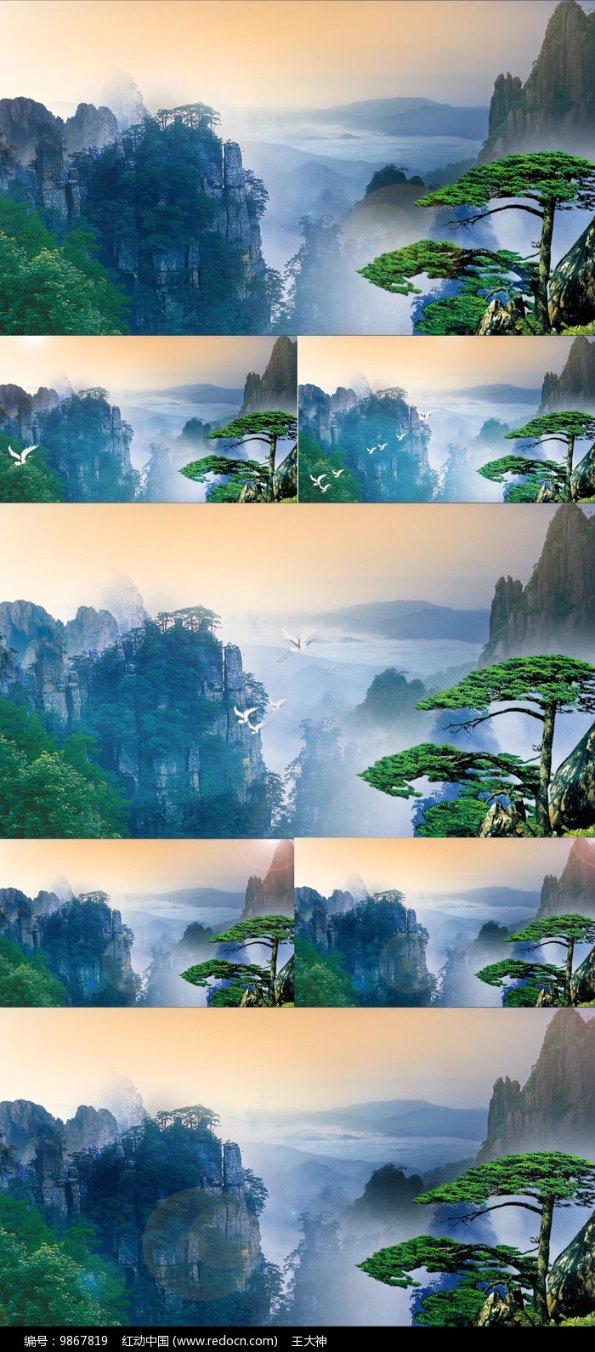螳螂和绿蝈蝈是一样的吗？